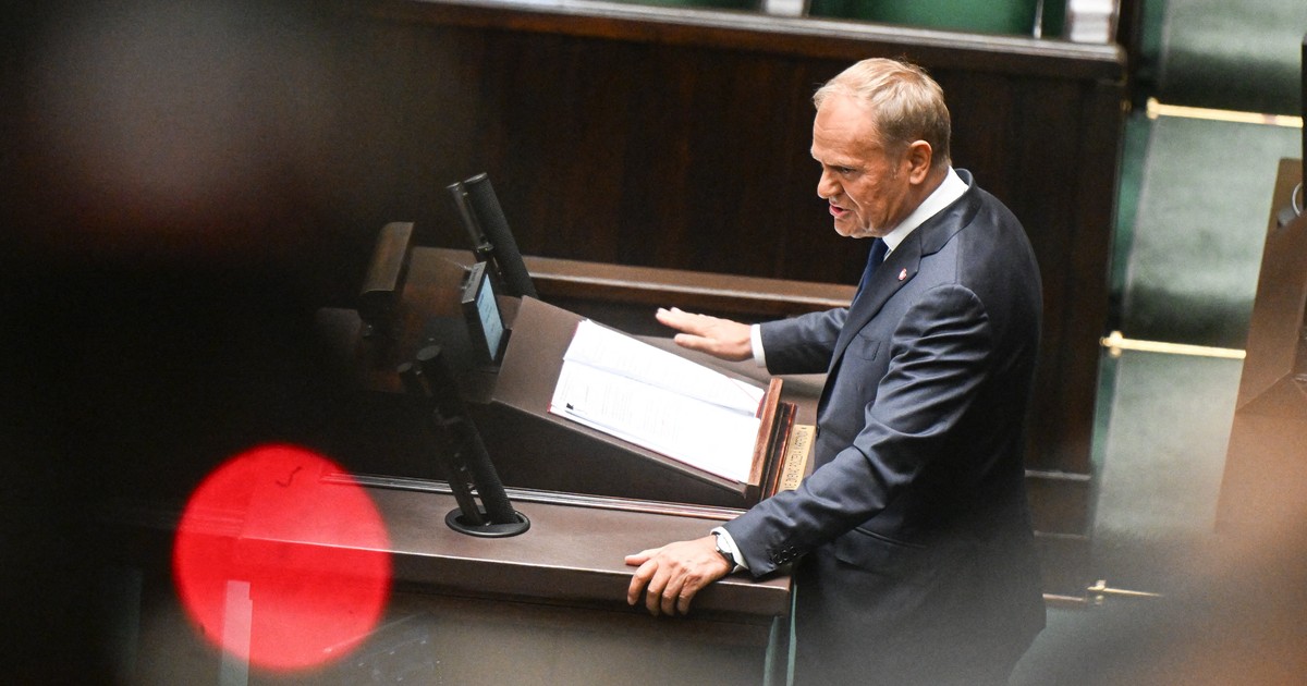 Zaskakująca deklaracja Donalda Tuska. Pasuje raczej do politycznego żółtodzioba [ANALIZA]