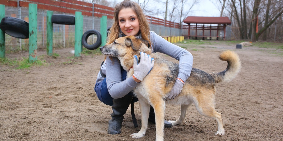 Zostań wolontariuszem w schronisku