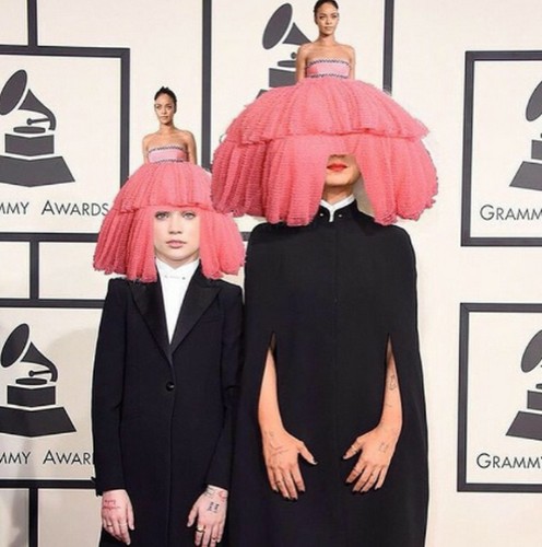 Niektórzy twierdzili, że słynna Barbadoska wyglądała jak gąbka lub myjka, inni – że jak parasolka, albo różowa beza