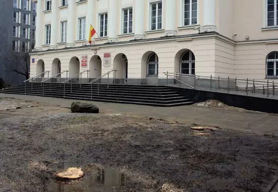 Minister Szyszko wziął się za drzewa w stolicy. Efekt? Wykarczowany skwer straszy mieszkańców
