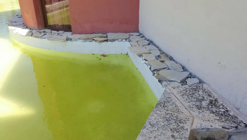 Woda w basenie luksusowego hotelu zmieniła kolor na zielony