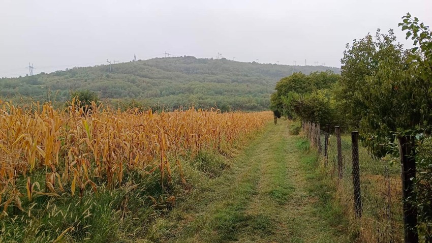 Polse ubistva skrivala se na brdu iza igrališta u naselju