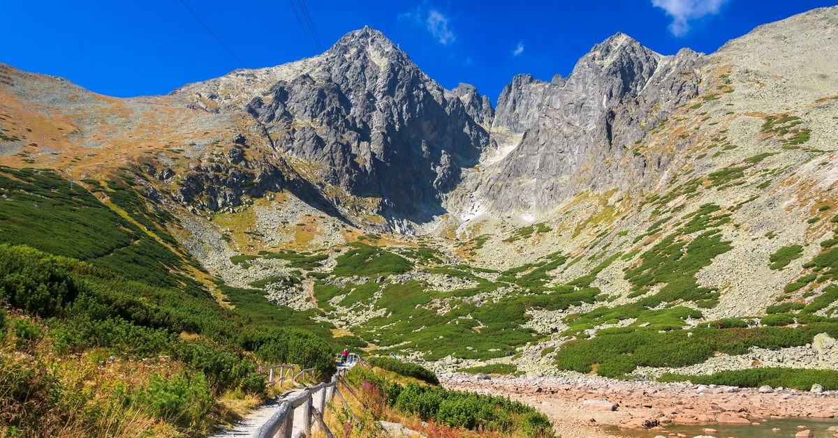 Szeroko zakrojona akcja w górach. Zaskakujący finał poszukiwań 59-latka