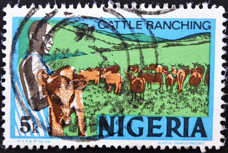 Na podstawie wspomnianego raportu powstało ciekawe opracowanie mitów dotyczących gospodarki Nigerii.

Według autorów z opiniotwórczego Project Syndicate, te rozpowszechnione fałszywe przekonania szkodzą rozwojowi kraju, wpływając np. na decyzje zagranicznych inwestorów. Wśród mitów wymieniana jest np. zależność gospodarki od wydobycia ropy naftowej, a także niestabilność gospodarki kraju, której wahania są nieprzewidywalne. Tymczasem tylko 14 proc. PKB Nigerii pochodzi w wydobycia surowców, a dzięki reformom i zróżnicowanym kierunkom rozwoju gospodarka kraju rośnie stabilnie od 15 lat.
<br>
Kolejny mit to niewielki potencjał Nigerii. Mimo powszechnej biedy i niskiej produktywności, w kraju rośnie szybko klasa średnia, która wkrótce może odegrać ogromną rolę w rozwoju kraju. Dochód na gospodarstwo domowe ma wzrosnąć w ciągu kolejnych 15 lat do 7,5 tys. dolarów rocznie. Wynik ten, pomnożony przez 34 mln gospodarstw domowych, potrafi rozpalić wyobraźnię inwestorów.
<br> Na zdj.
znaczek pocztowy wydrukowany w Nigerii, prezentujący wypas bydła. Ok. roku 1973 Źródło: Neftali shutterstock.com