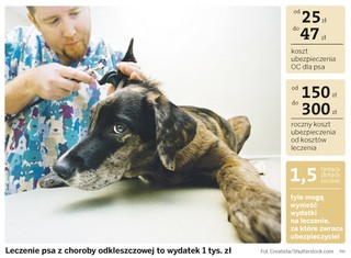 Jak zaoszczędzić na zwierzętach? Wykupić im polisę ubezpieczeniową