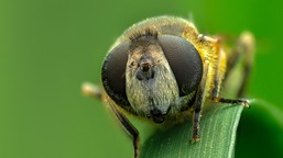 Przyjemny QUIZ z biologii. Uczeń da radę, a Ty? Dwa pytania to podstęp