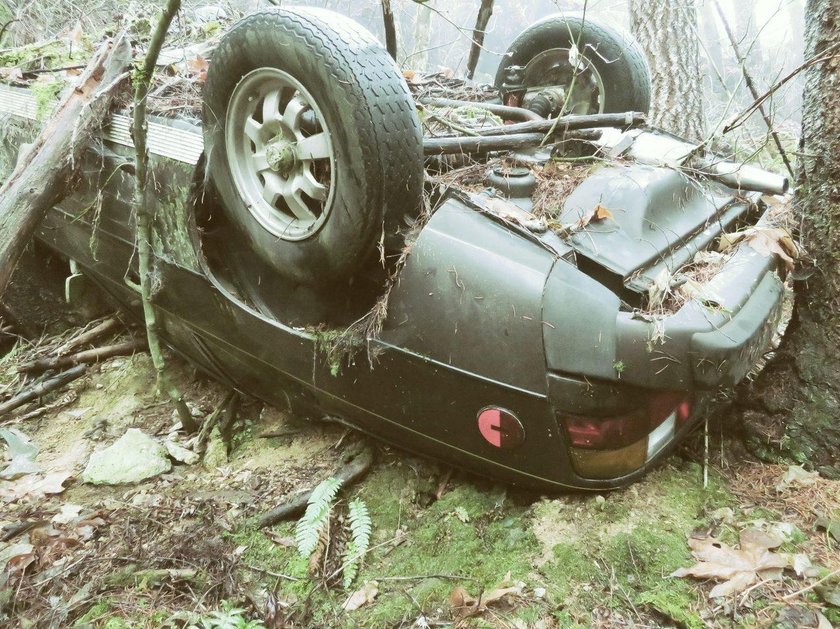 Niezwykłe odkrycie w rezerwacie przyrody. Tego auta szukali od 26 lat