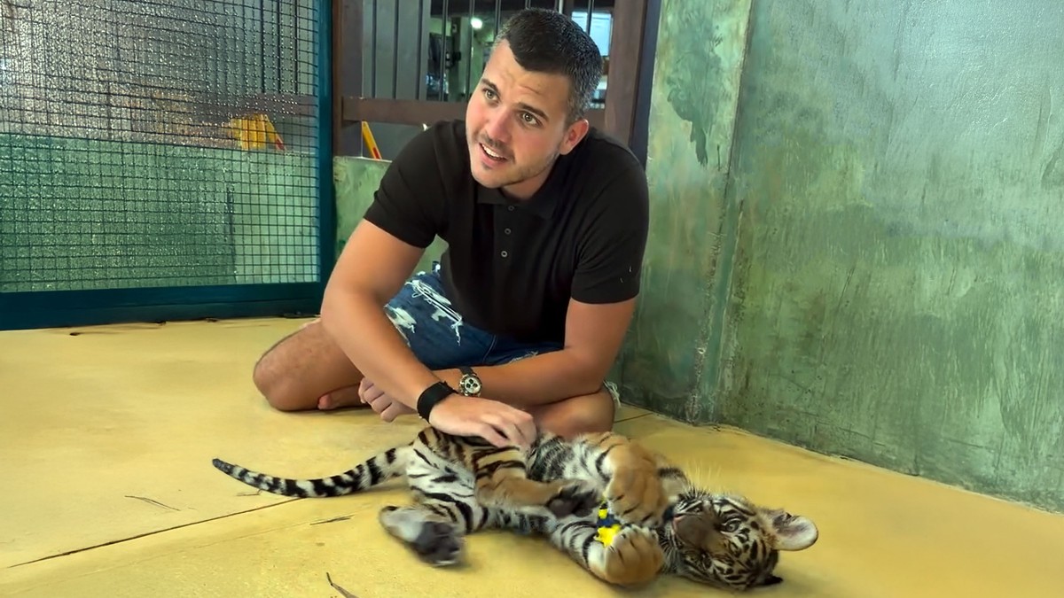 Viktor Živojinović