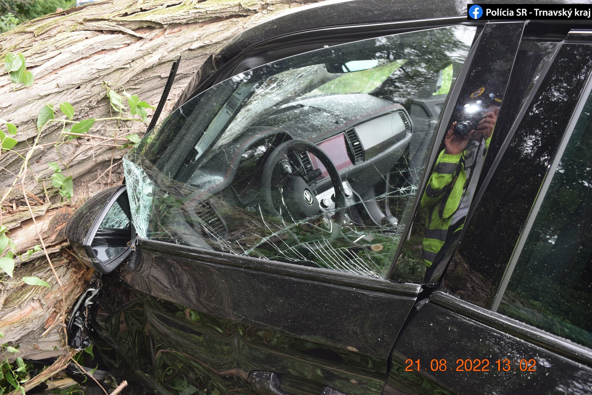 Na auto spadol strom. 