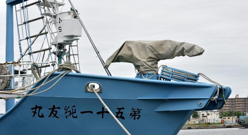 Japan whaling ships set sail for the first commercial hunts in over three decades, with their harpoons covered while in port