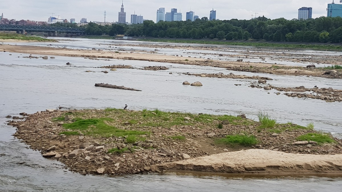 Warszawa: Wyjątkowo niski stan Wisły. Zobacz zdjęcia