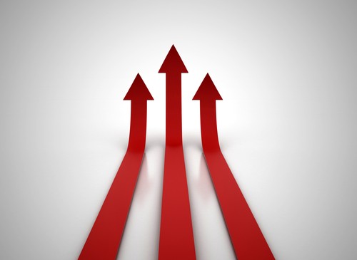 Ubiegł rok niewątpliwie należał do firm, które wyróżniały: pasja, odważny pomysł, ciekawa historia lub charyzmatyczna postać, która poprowadziła firmę na szczyt. I oczywiście nieustanny rozwój, który owocował sukcesami na arenie krajowej i międzynarodowej.