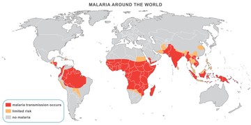 A malária felbukkanása a világon