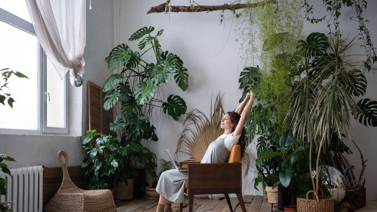 Stručnjak otkriva jednostavne trikove za lenje ljubitelje biljaka