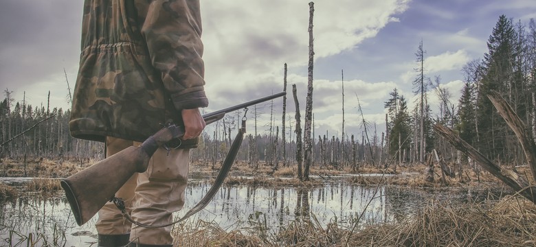 Zakaz polowań na siedem gatunków ptaków. Jest projekt MKiŚ