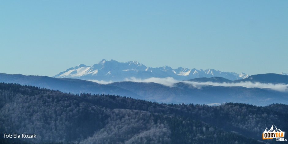 Tatry Wysokie widziane z wieży na górze Jaworze