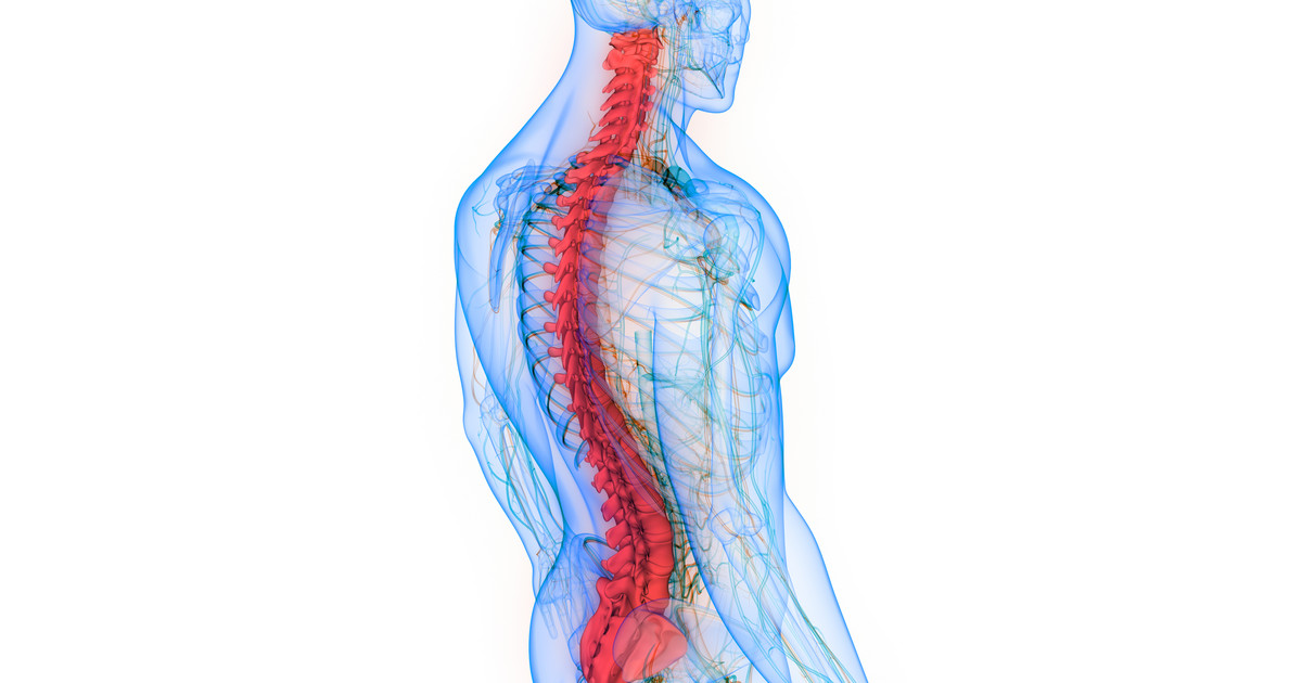 Ból dolnej części pleców - przyczyny, leczenie, objawy, ćwiczenia