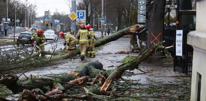 Uwaga na silny wiatr! W porywach osiągnie nawet 115 km/h