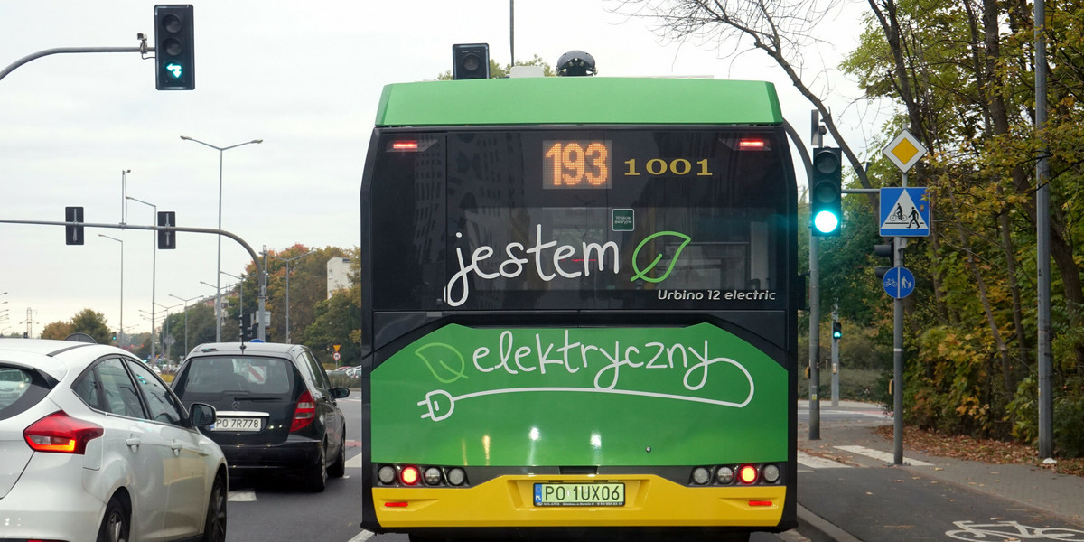 Ponad połowa wszystkich autobusów elektrycznych zarejestrowanych w Polsce kursuje w miastach powyżej 300 tys. mieszkańców.