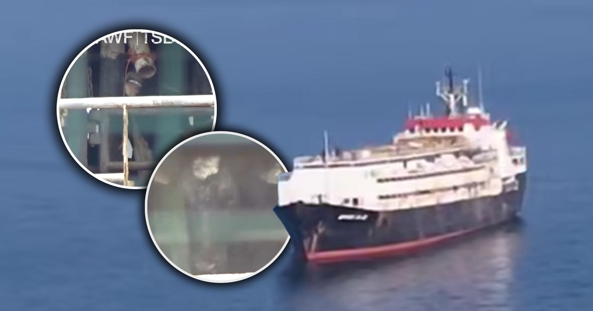 Dramat na morzu. Tysiące krów od prawie dwóch miesięcy uwięzione na statku z powodu biurokracji