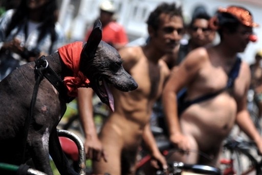 PERU - CYCLISTS - PROTEST - NAKED