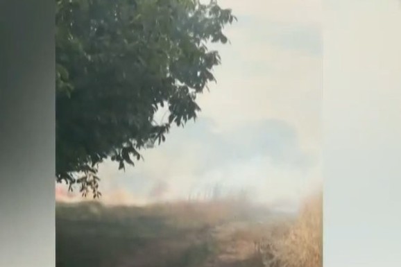 (FOTO) VATROGASCI SPASILI 12 KUĆA OD KATASTROFE! Veliki požar kod Niša: Vetar razbuktao vatru, izgorela ČETIRI OBJEKTA