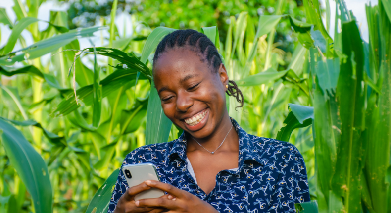 Top social media platforms used for agriculture in Kenya - Survey