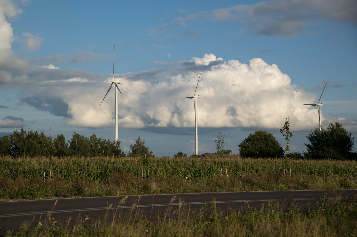 NIK krytykuje rząd za wiatraki. Tani prąd zagrożony?
