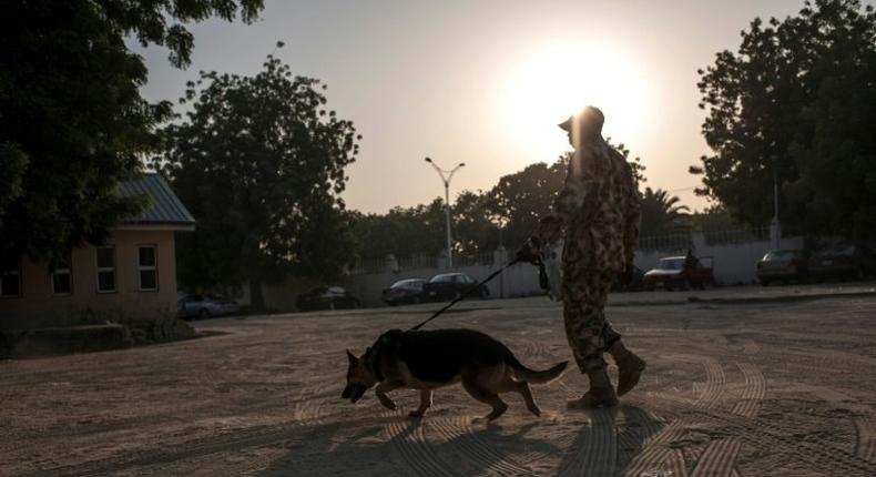 A Nigerian soldier with his sniffer dog patrols on January 18, 2017