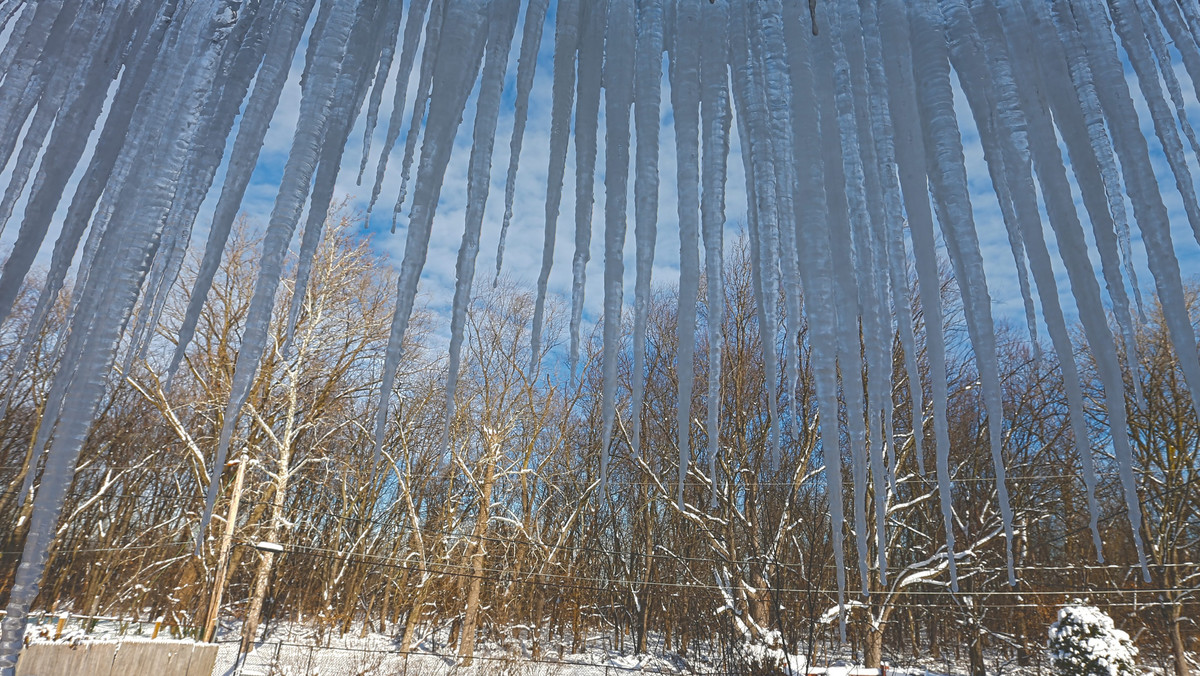 Północne obszary USA zmagały się z rekordowo niskimi temperaturami dochodzącymi do minus 38 stopni Celsjusza w stanie Wisconsin. Nadchodzący tydzień ma być jeszcze zimniejszy. W poniedziałek w Minnesocie termometry mogą pokazywać 54 stopnie mrozu.