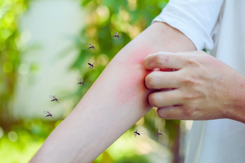 Simptomi koji ukazuju na neuroinvazivni oblik bolesti su visoka temperatura, jaka glavobolja, ukočenost vrat, dezorijentisanost ili slabost