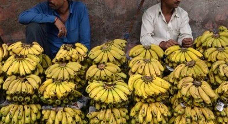 Thief force fed 40 bananas by police so he stools stolen gold chain