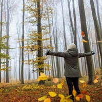 Ennyi mindenben segíthet, ha teszünk egy sétát a zöldben