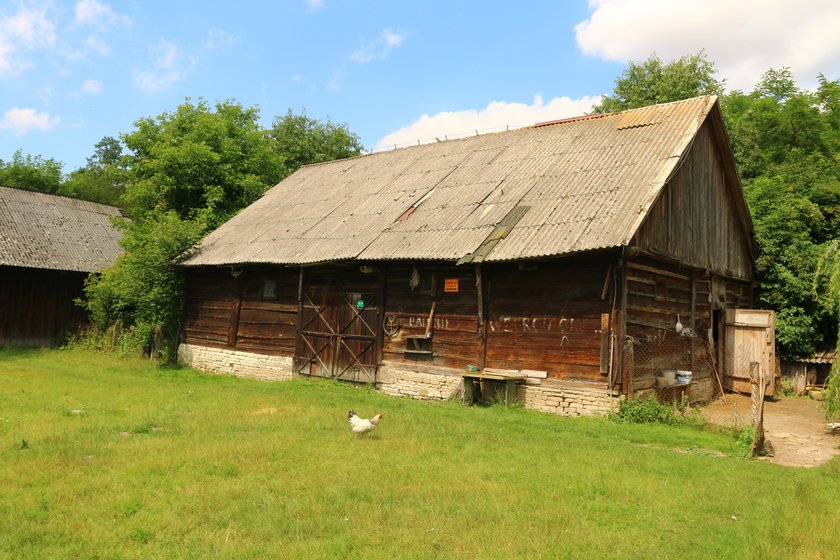 Gdzie będą trzymał moje króliki?