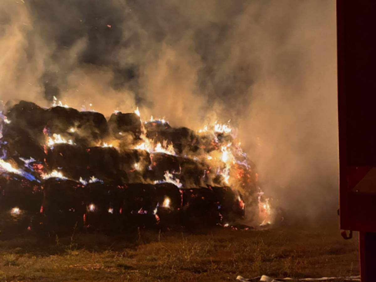 DRAMA KOD BAČKE PALANKE! Vatra progutala čak 320 rolo bala u Despotovu: Vatrogasci se borili sa vatrenom stihijom (FOTO)