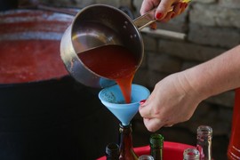 Domaći sok od paradajza sa paprikom