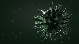 Egy új kutatás szerint mégsem fertőzi meg az agysejteket a koronavírus