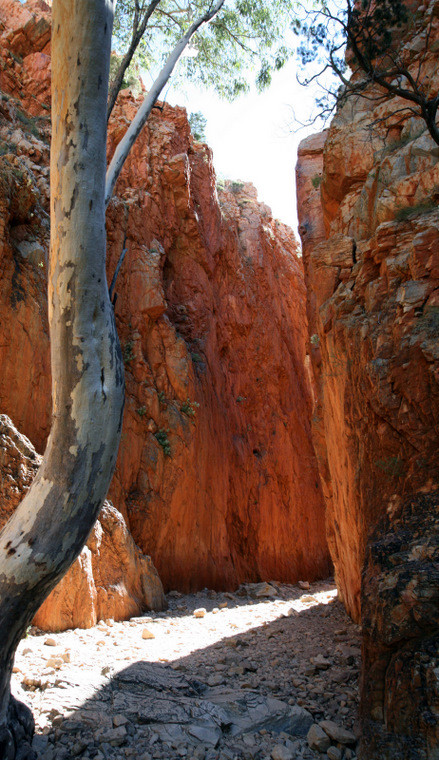 Wąwóz Standley, Park Narodowy West MacDonnell Ranges