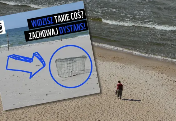 Widzisz taki druciany kosz na plaży? Nie zbliżaj się do niego – apeluje WWF