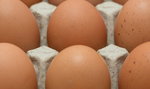 GIS ostrzega przed jajkami z salmonellą!