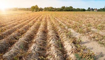 Polska ma coraz większy problem z wodą. Suszę zauważyliśmy jednak dopiero latem