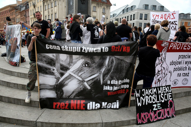 Manifestacja przeciwko wywozowi polskich koni na rzeź do Japonii, PAP/Tomasz Gzell