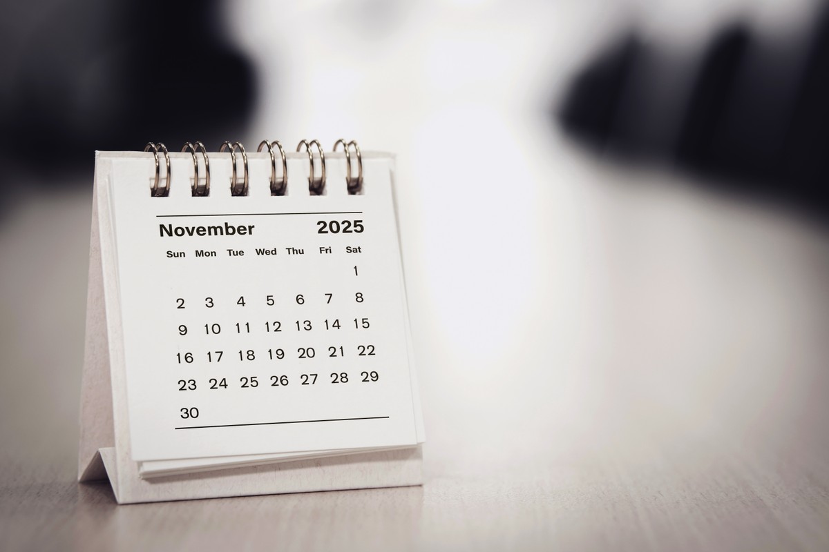 Calendar,Page,November,Of,The,Year,2025,White,Color,In