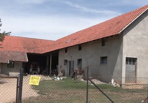 Afrička kuga svinja u selima kod Obrenovca