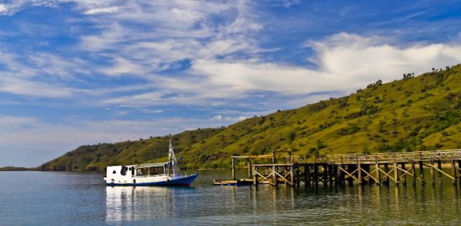 Nowe Cuda Natury - Komodo Fot.flickr/Adhi Rachdian