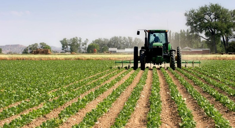 A farmer working on his famland (NNN)