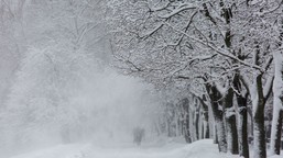 burze śnieżne, siarczysty mróz i warstwa lodu na drogach. nadchodzi potężne załamanie pogody imgw ostrzega długoterminowa prognoza pogody