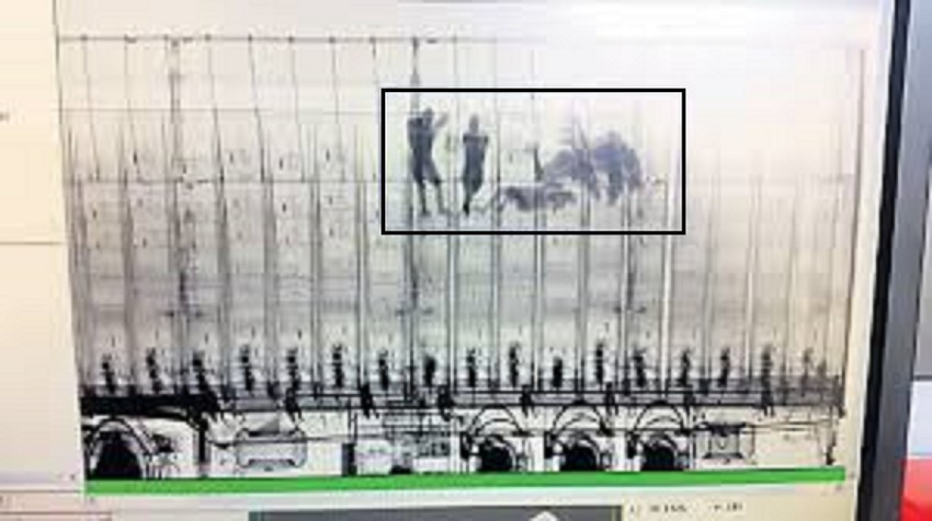 Skener otkrio ilegalne putnike u kamionu 