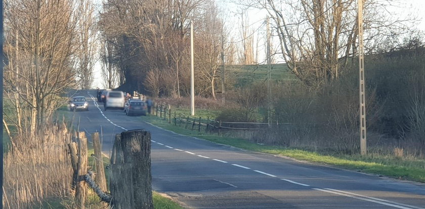 Makabra na drodze. Karawan zgubił nieboszczyka