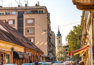 zemun foto Finn stock shutterstock